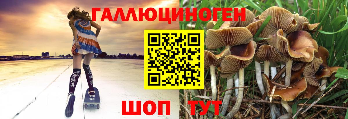 Псилоцибиновые грибы GOLDEN TEACHER Амурск